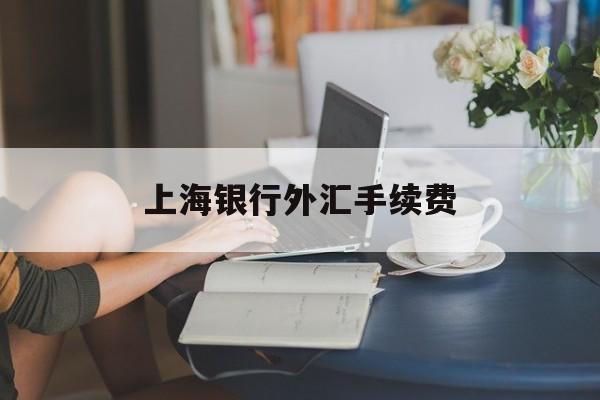 上海银行外汇手续费(上海银行外汇牌价查询)