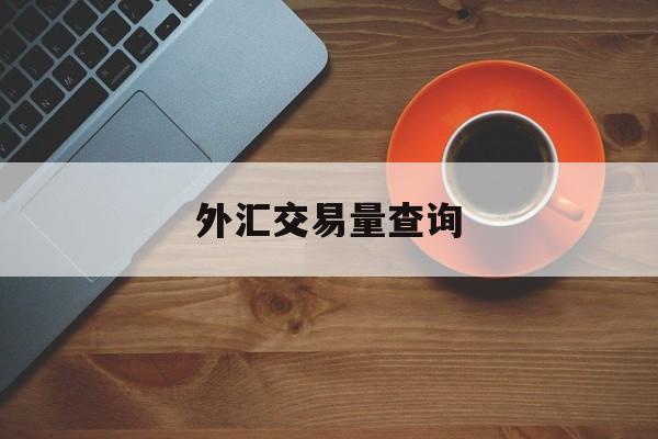 外汇交易量查询(外汇交易量查询官网)