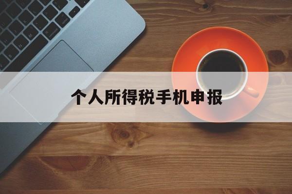 个人所得税手机申报(个人所得税手机申报操作流程)